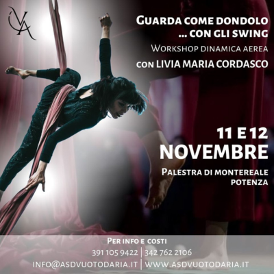 Workshop Dinamica Aerea 2